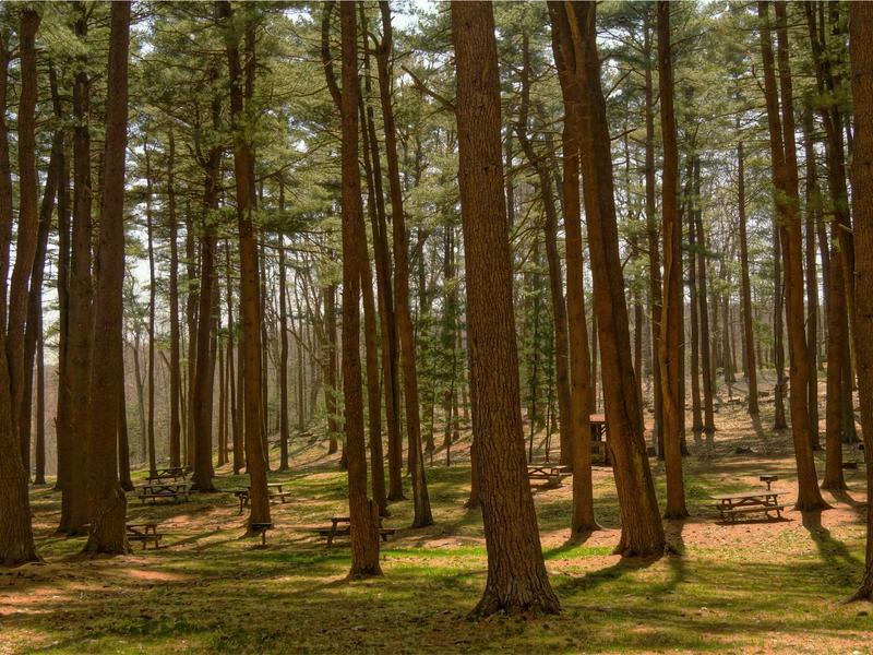 sudoku pro version screenshot 2